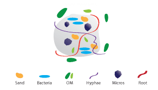 Figure 2.9. Soil aggregation: mineral particles, organic matter, and biology. (NDSU)